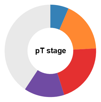 pT Stage Circular Chart